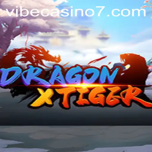 DragonXTiger: A New Sensation at Vibe Casino