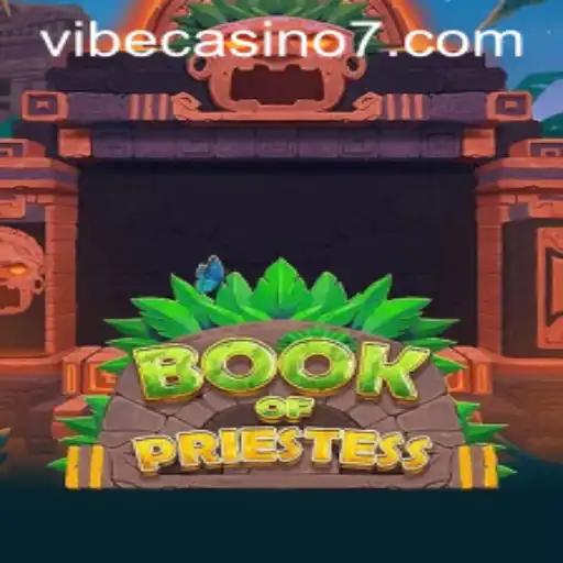 An In-Depth Look at BookOfPriestess at Vibe Casino
